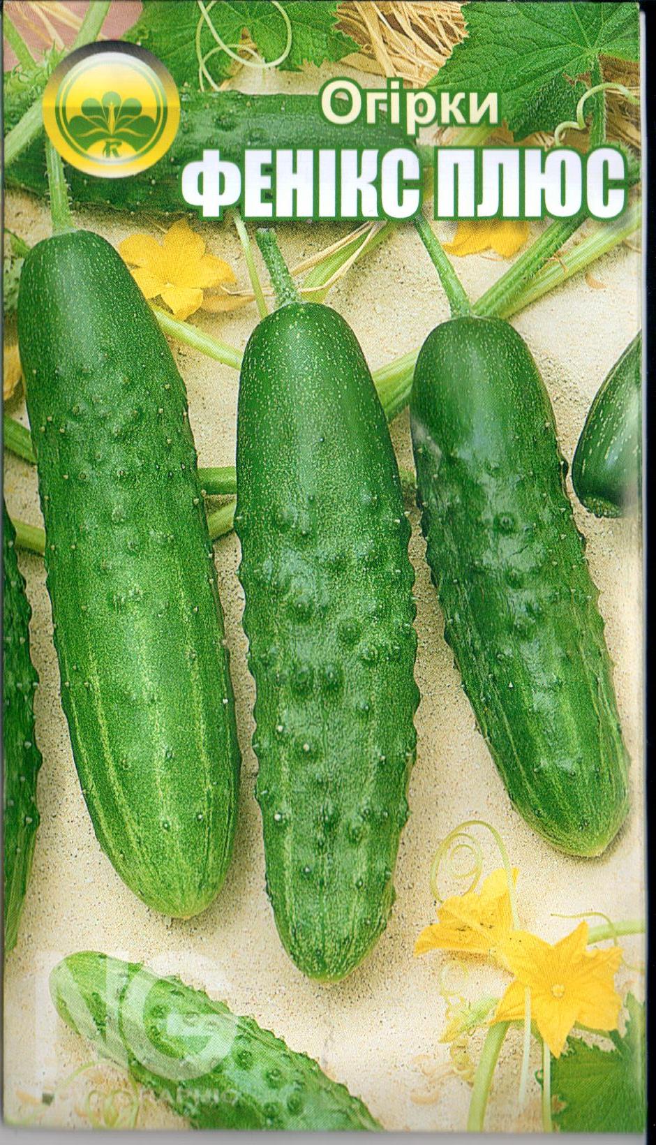 Огурец "Феникс плюс" 