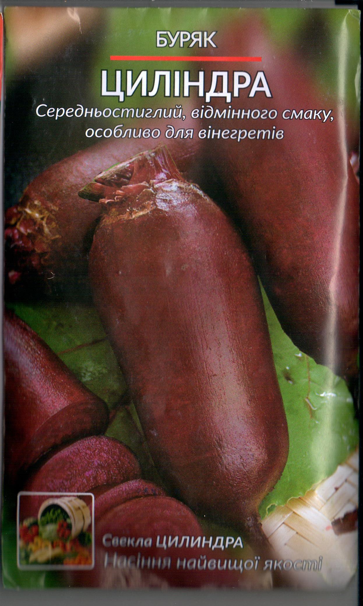 Свекла "Цилиндра"