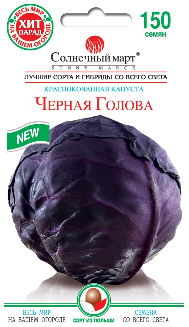 Капуста "Черная голова"