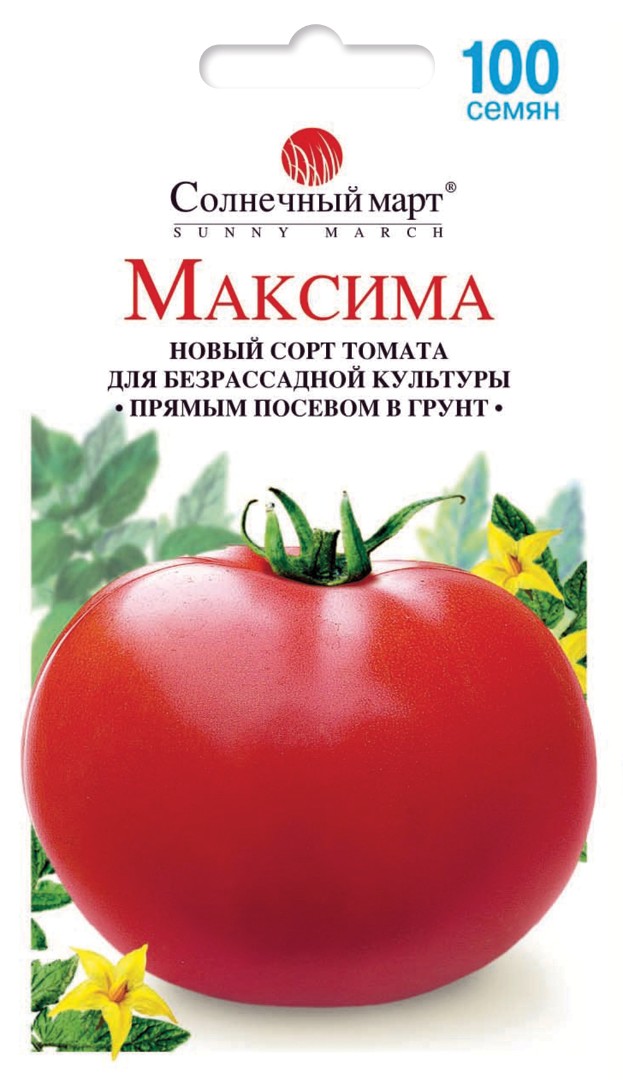 Томат Максима
