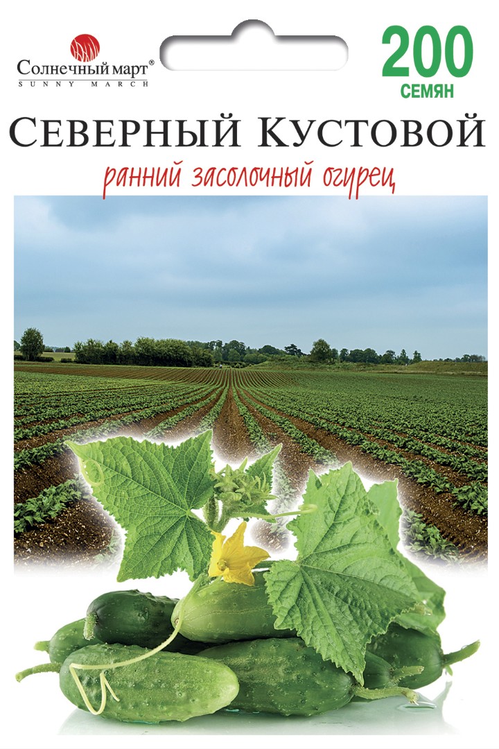 Огурец "Северный кустовой"