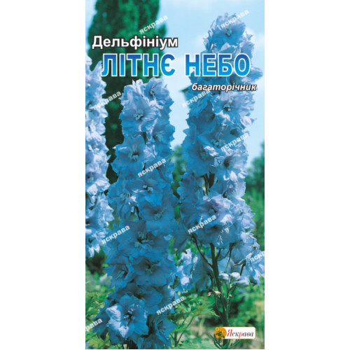 Дельфиниум "Літнє небо" багаторічник